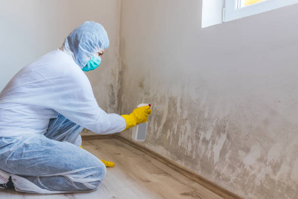 Bathroom Mold Removal assessment in Centreville bathroom